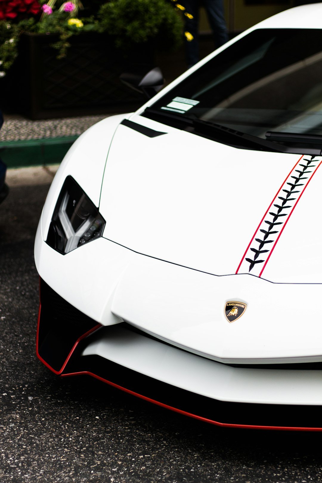 white-lamborghini-ewnbsoeeze
